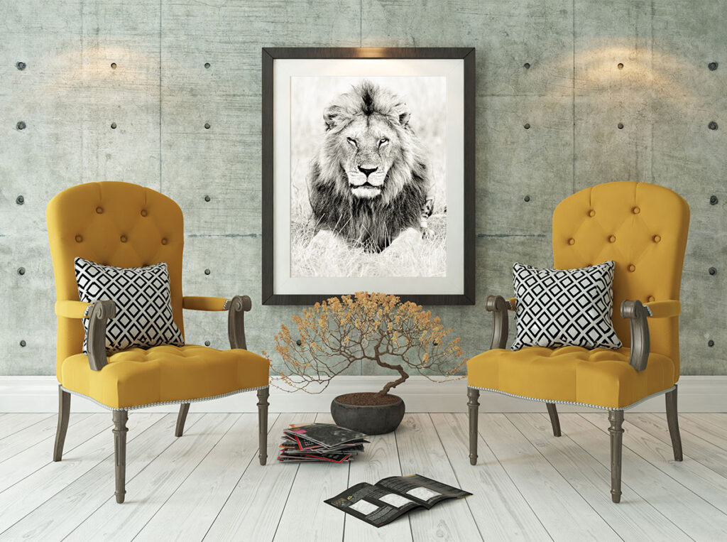 Fine art print of a lion.